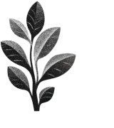 Build Workflows & Products